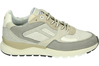 Floris van Bommel DE TREENER 01.36 - alle