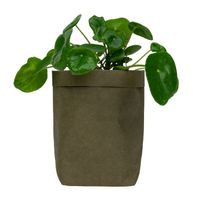 QUVIO Plantenzak uitwasbaar 10x10x20cm - Donker groen - thumbnail