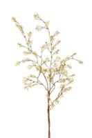 Roberts Collection Kunsttak gipskruid geel 110cm