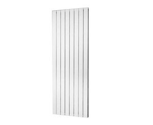 Plieger Cavallino Retto Dubbel 7253044 radiator voor centrale verwarming Wit 2 kolommen Design radiator