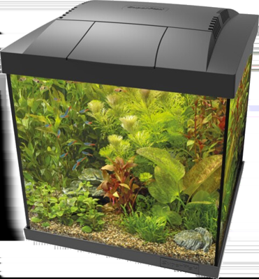 Superfish Start Qube 30 kit zwart