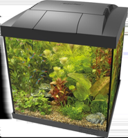 Superfish Start Qube 30 kit zwart