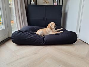 Dog's Companion® Hondenbed zwart medium