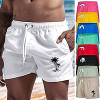 Voor heren Lange zwembroeken Zwemshorts Boardshorts Zak met Mesh-voering Elastische tailleband Short / Broekje Sport Outdoor Strand Zwembad Sneldrogend Lichtgewicht Zacht Zwemmen Strand Getailleerd Lightinthebox