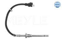Sensor, uitlaatgastemperatuur 0148000173