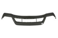 Bumper 5510000096907P