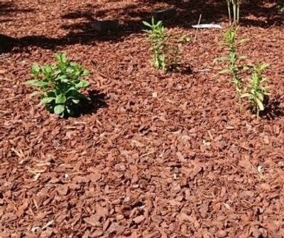 Frans Boomschors Big Bag - 200kg Frans Boomschors Big Bag - 200kg