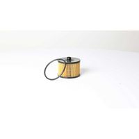 Brandstoffilter BSG30130018