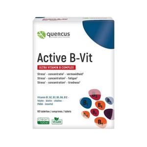 Quercus Active B-vit. Comp 60