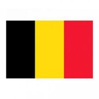 Belgische Vlag 150 x 90 cm - thumbnail