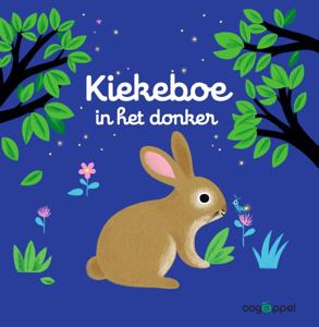 Kiekeboe in het donker (Hardback)
