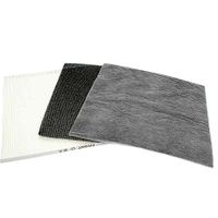 Filterset voor Delonghi DAP-700E Filter