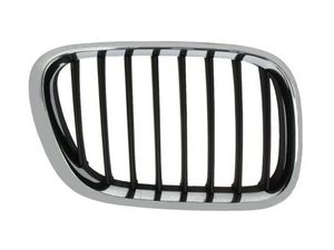Radiateurgrille 6502070095994P