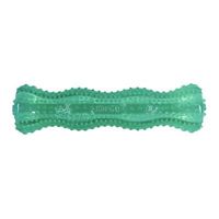 KONG squeezz dental stick mintgroen - default title
