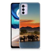 Motorola Moto G42 TPU Hoesje Olifanten