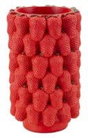 VAAS AARDBEI CM Ø 20X32