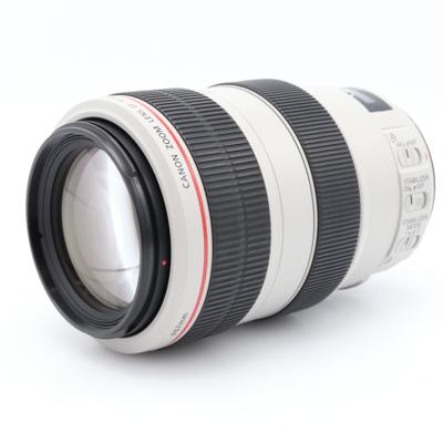 Canon EF 70-300mm f/4-5.6 L IS USM occasion