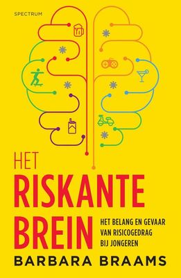 Het riskante brein - Barbara Braams - ebook