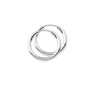Oorringen Ronde Buis zilver 2.5 x 20 mm