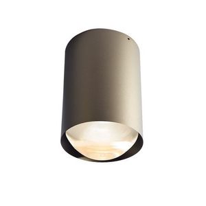 Trizo21 Bily 16 up Plafondlamp - Bronzen frame - Zilveren ring