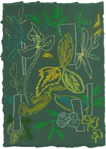 Moooi Carpets - Vloerkleed Sprouts Scarlet Green Low Pile -
