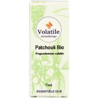 Volatile Patchouli