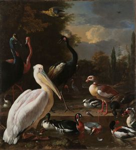 Melchior d'Hondecoeter - Het drijvend veertje 90x100cm , Rijksmuseum, premium print, print op canvas, oude meester