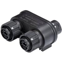 Wieland 46.050.1253.1 Ronde connector verdeler Totaal aantal polen: 4 + PE Serie (ronde connectoren): RST® MINI 1 stuk(s)