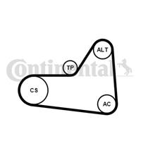 Poly V-riem set CONTINENTAL CTAM, u.a. für VW, Seat, Skoda, Audi