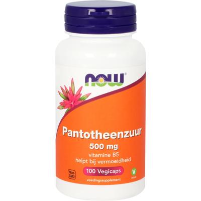 Pantotheenzuur 500 mg Pantotheenzuur 500 mg