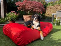 Dog's Companion® Hondenbed rood vuilafstotende coating medium