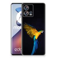 Motorola Edge 30 Fusion | TPU Hoesje | Papegaai