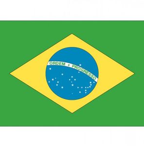 Stickertjes van vlag van Brazilie   -