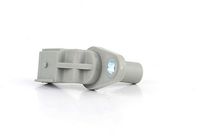 Nokkenassensor BSG30840024