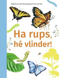 Ha rups, hé vlinder! (Hardback)