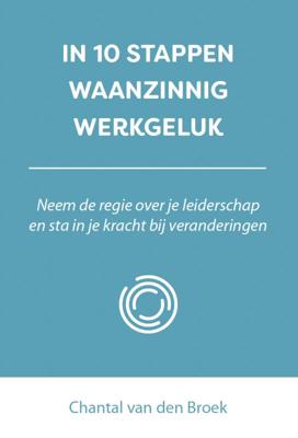 In 10 stappen waanzinnig werkgeluk (Paperback)