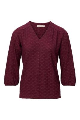 Dreamstar Top W25 105 Kane