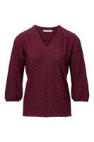 Dreamstar Top W25 105 Kane
