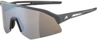 Alpina Sonic HR Q-Lite - Sports Glasses