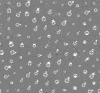 Behang met glitters en parels
