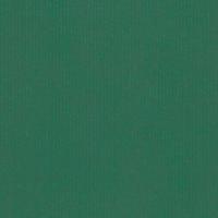 Inpakpapier 70 cm 50 gr/m groen kraft