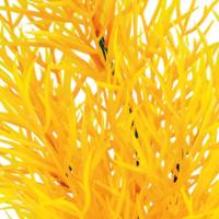 Sf art plant 25 cm orange - Superfish