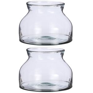 2x stuks glazen bloemenvaas Vienne Bowl H15 x D27 cm