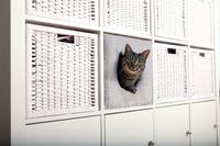 TRIXIE 44090 bedje voor honden & katten Kattenmand met deurtje - thumbnail