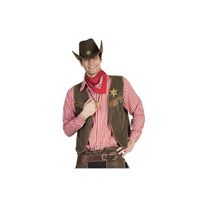 Rode geruite cowboy blouse voor heren   -