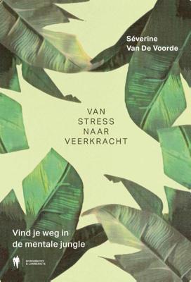 Van stress naar veerkracht (Paperback)