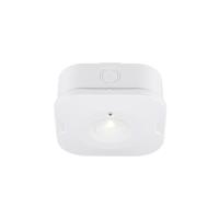 SLV VluchtrouteverlichtingP-Light noodverlichting - 1010508 SLV VluchtrouteverlichtingP-Light noodverlichting - 1010508