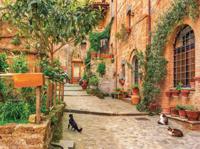 Steeg katten 70x50cm Tuinschilderij - Customize it