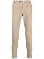 Briglia 1949 pantalon chino en coton - Tons neutres