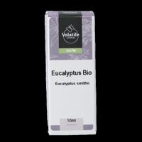 Volatile Eucalyptus smithii bio 10 Milliliter